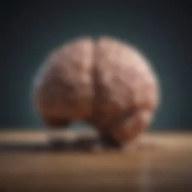 Brain Training Techniques for Enhanced Mental Agility Brain training techniques for enhanced mental agility