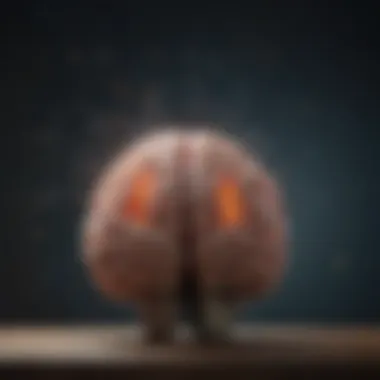 Neurological Insights of Meditation Visual representation of brain activity during meditation.