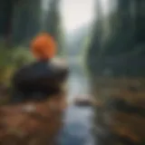 A serene landscape symbolizing mental clarity and tranquility