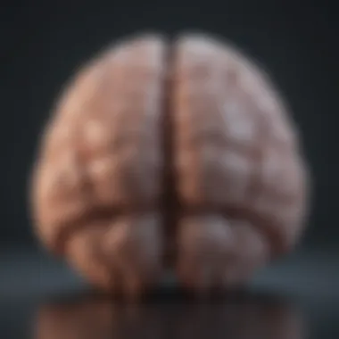 Understanding Emotional Challenges Illustration of a brain with emotional facets