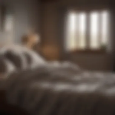 A Peaceful Scene for Enhanced Sleep Quality A peaceful scene with soft lighting and cozy blankets