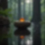 A serene space for mindfulness practice