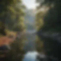 A serene landscape symbolizing tranquility and mental clarity