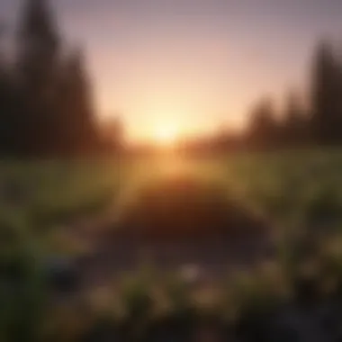 New Beginnings and Growth A vibrant sunrise representing new beginnings and personal growth