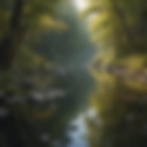 A serene landscape promoting tranquility and peace
