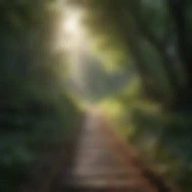 Nature as a Source of Mindfulness A tranquil nature scene representing mindfulness and clarity