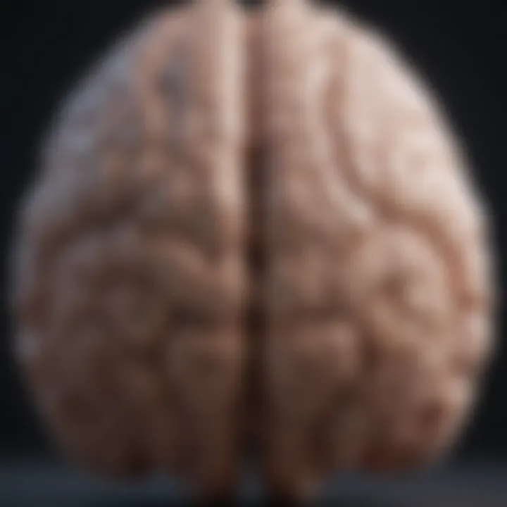 A close-up of a brain illustrating cognitive restructuring