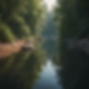 Tranquility in Self-Exploration A serene landscape representing tranquility and self-reflection