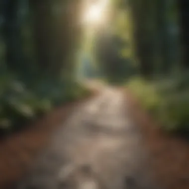 Path to Professional Growth Path to professional growth