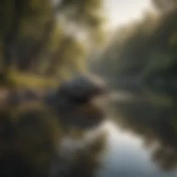 A serene landscape representing tranquility and reflection