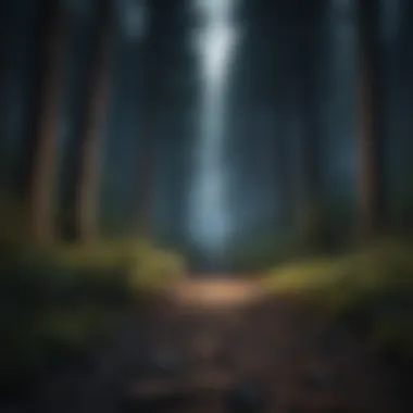 Serenity in Nighttime Forests Serene nighttime forest filled with gentle sounds