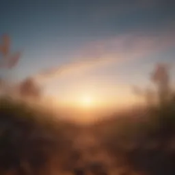 A serene landscape with a sunrise symbolizing new beginnings.