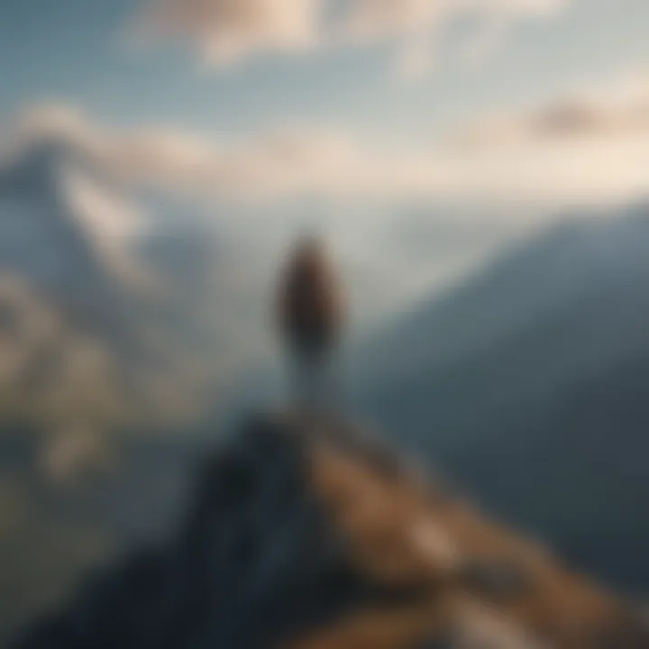 A person standing confidently on a mountain peak