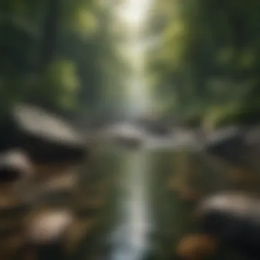Nature's Serenity for Mindfulness Peaceful nature scene with calming water