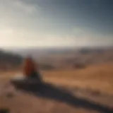 A solitary figure gazing out over a vast, empty landscape, embodying feelings of isolation.