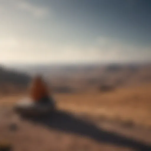 A solitary figure gazing out over a vast, empty landscape, embodying feelings of isolation.