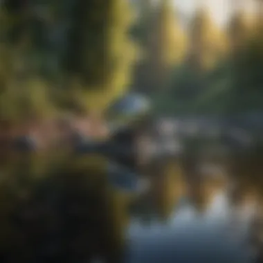 The Power of Reflective Practices A serene landscape symbolizing reflection