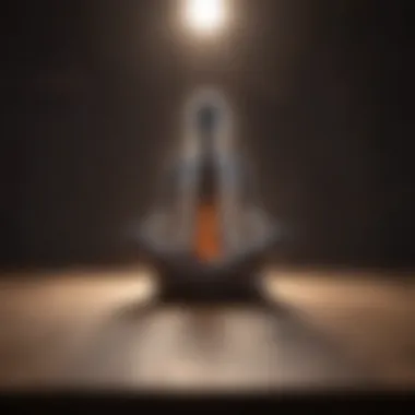 Visualization of brain activity during meditation