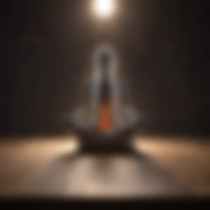 Visualization of brain activity during meditation