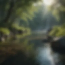 Charming landscape with tranquil water and soft sounds