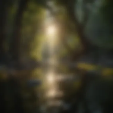 Nature's Serenity: A Setting for Meditation Calm nature scene with soft sunlight