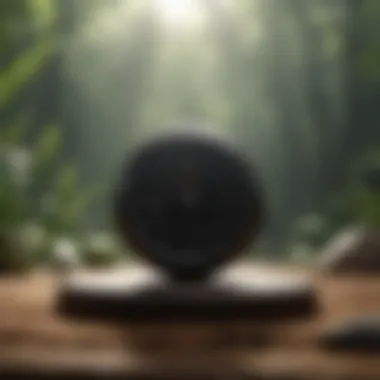 Exploring the Tenets of a 20-Minute Meditation Timer Summary Exploring the Tenets of a 20-Minute Meditation Timer Summary