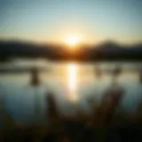 A serene landscape representing peace and clarity of mind