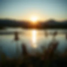 A serene landscape representing peace and clarity of mind