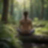 Peaceful nature scene for meditation