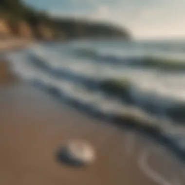 Harmony of Nature and Mindfulness Gentle waves lapping at a tranquil shore