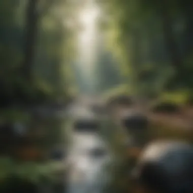 Mindfulness in Nature A serene landscape promoting relaxation and mindfulness