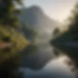 A serene landscape reflecting a calm mind