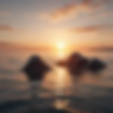 Embracing New Beginnings A serene landscape depicting sunrise over calm waters