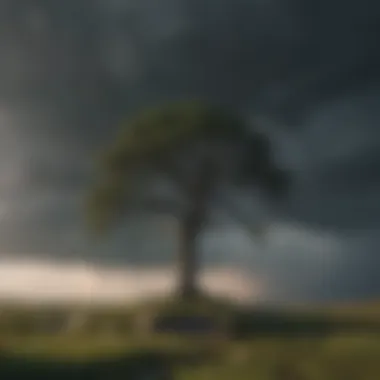 A lone tree standing tall amidst a storm, representing resilience