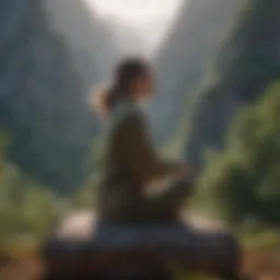A serene landscape symbolizing tranquility and mindfulness