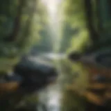A serene landscape reflecting tranquility