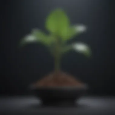 Symbol of Growth and Continuous Development A thriving plant representing growth and development