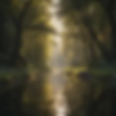 Nature's Embrace of Resilience A serene landscape symbolizing emotional resilience