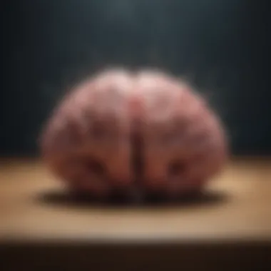 Brain Waves: The Science Behind Meditation Visualization of brain activity during meditation