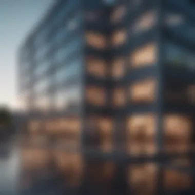 Building Connections Online A digital interaction through a video call platform