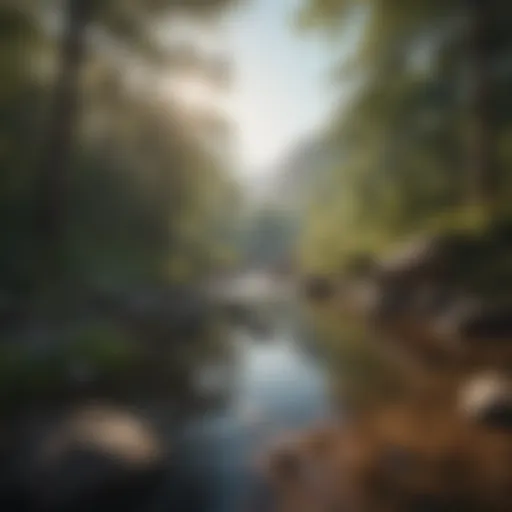 A serene landscape promoting mindfulness