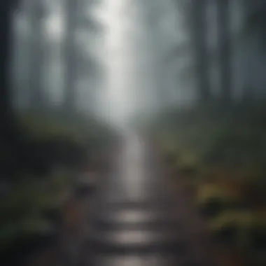 Uncertain Journey A foggy path representing uncertainty in life