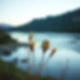 A serene landscape evoking tranquility and introspection