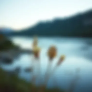 Tranquility in Nature A serene landscape evoking tranquility and introspection