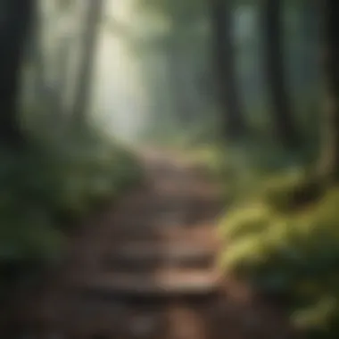 Journey Through Uncertainty A winding path through a dense forest