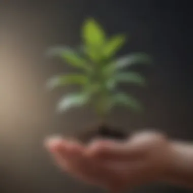 Nurturing Growth Amidst Adversity Close-up of a hand gently holding a small plant symbolizing growth