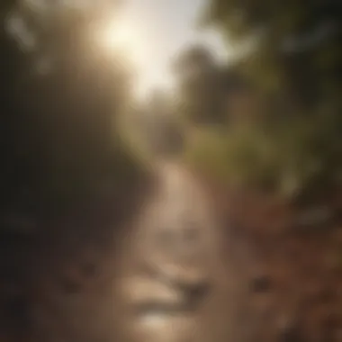 The Journey of Forgiveness Pathway symbolizing the journey of forgiveness
