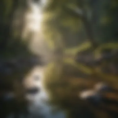 Tranquility in Nature Serene landscape reflecting tranquility