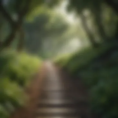 A path diverging in a lush green landscape symbolizing choices and directions