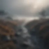 A foggy landscape symbolizing confusion and despair